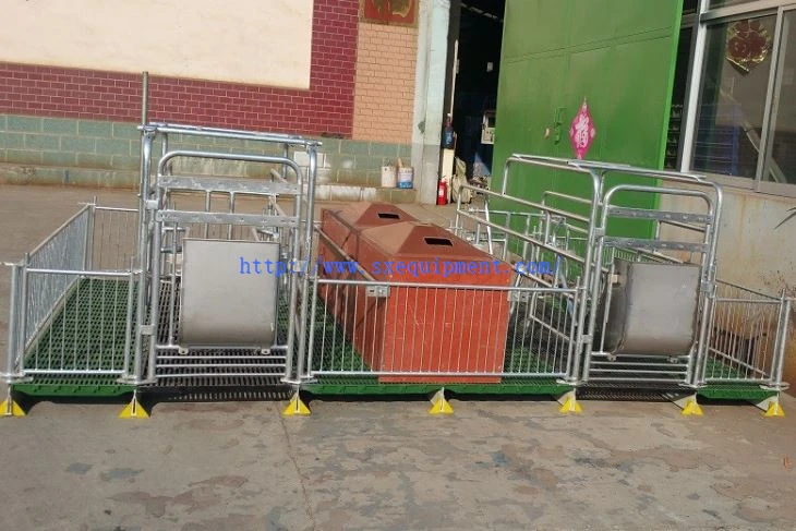 Pig Farrowing stall 22