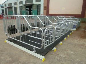 Baboy nga agsikog a kahon nga addaan iti feeder .